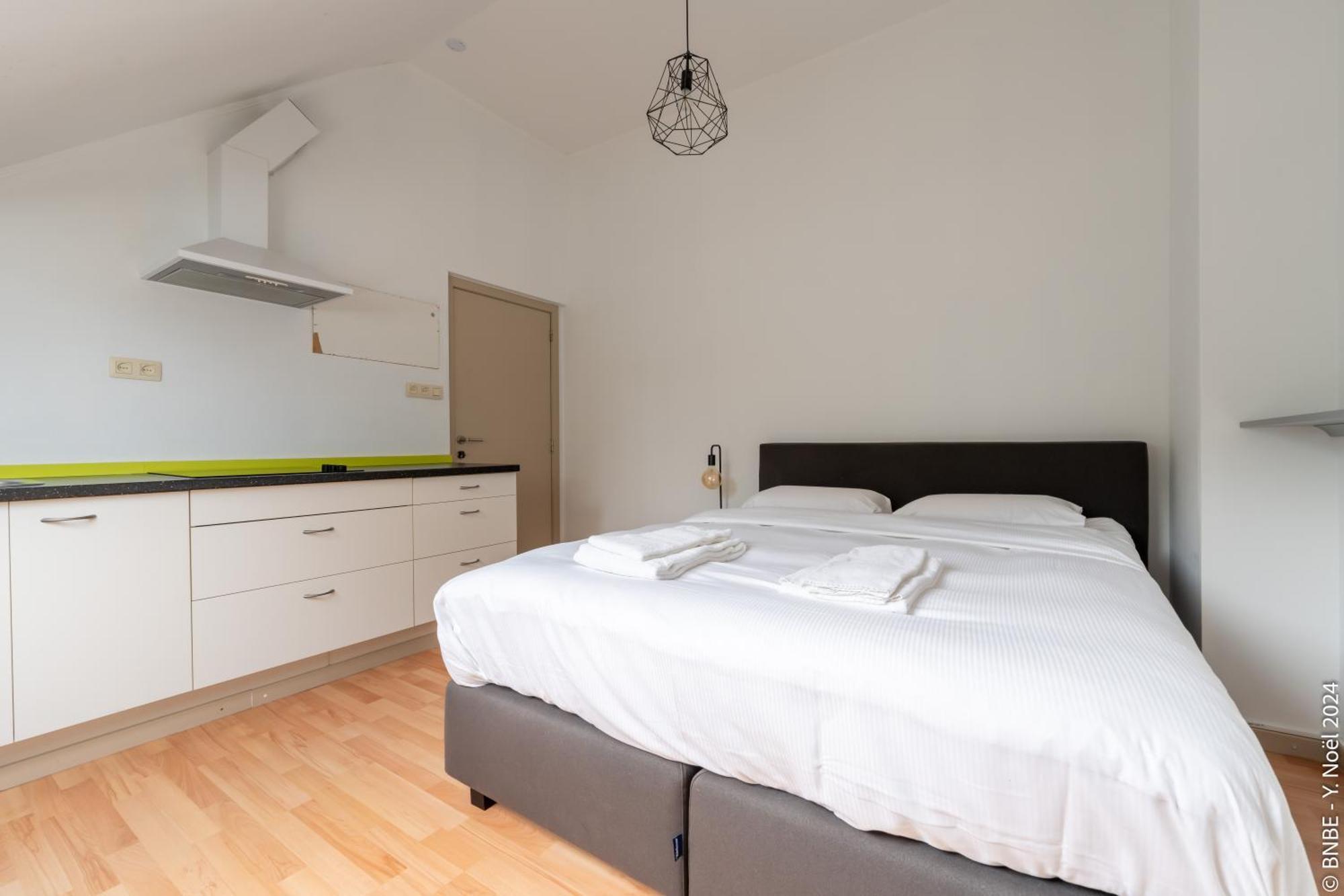 La Louve - Big Place & Garden - Parking Gratuit Bruselas Exterior foto