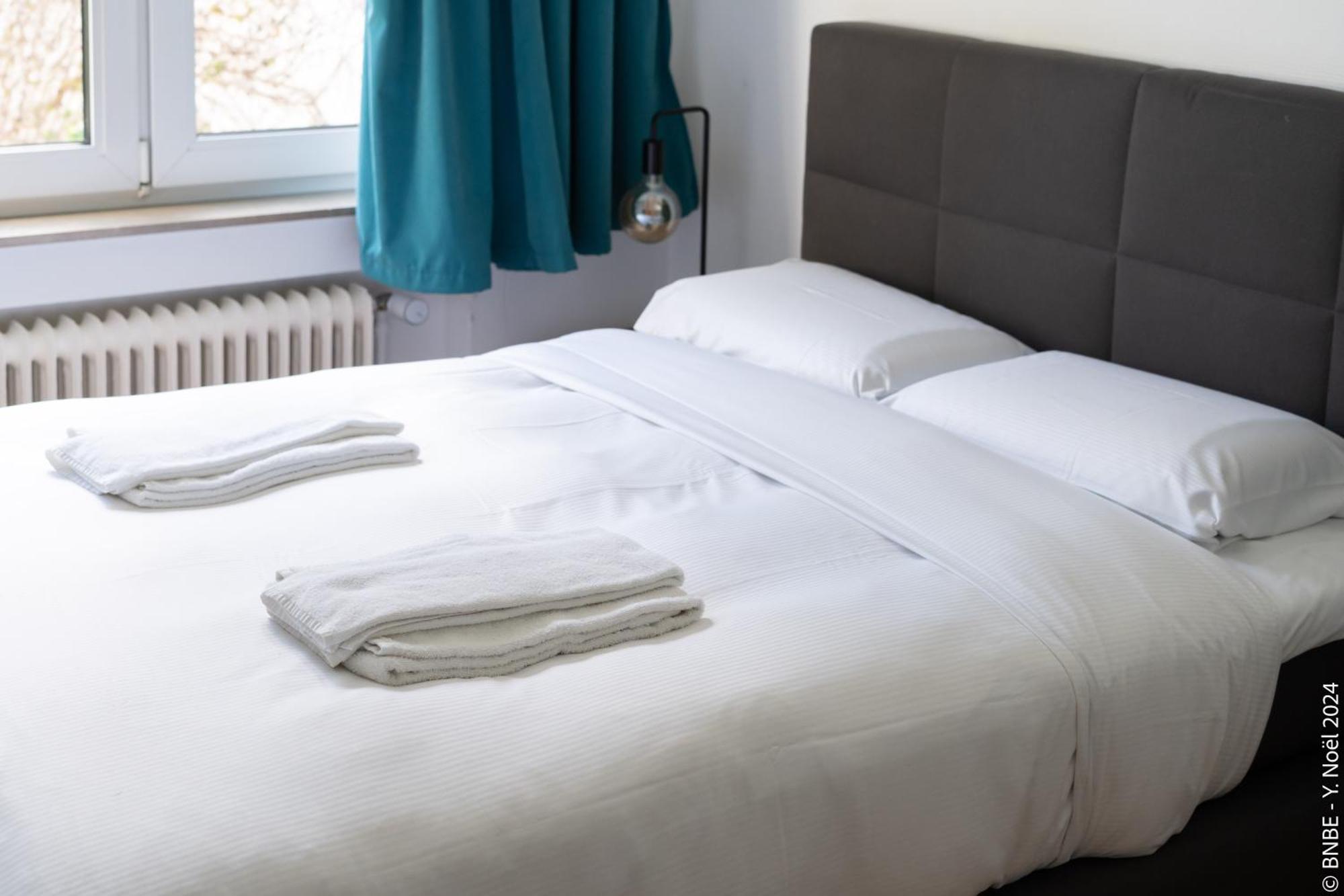 La Louve - Big Place & Garden - Parking Gratuit Bruselas Exterior foto